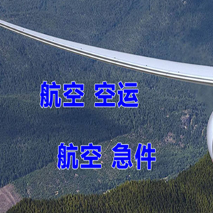 临沂启阳机场物流快递-选东方航空和上海航空
