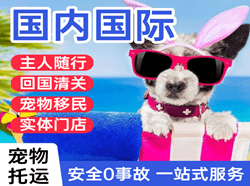 临沂启阳机场物流国际宠物托运 【国